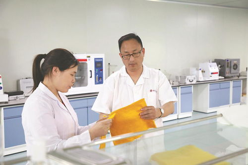 躬身探尋科技成果轉化密碼 新材料技術研發(fā)的破局之路